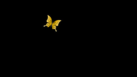 Monarch-butterfly-flying-Seamless-loop-animation-transparent-background-with-alpha-channel
